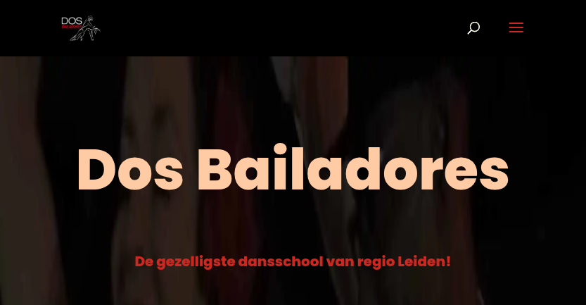 Lesrooster cursussen en party’s