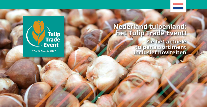 Tulip Trade Event